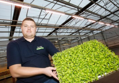 Nieuwe ontwikkelingen glastuinbouw